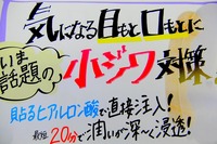 DSCF4324