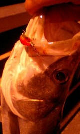 0599f0bb.jpg