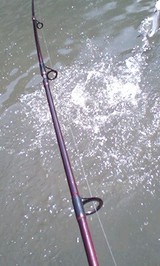 42ddc051.jpg