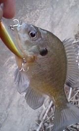 c24466f8.jpg