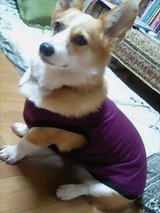 リュック服