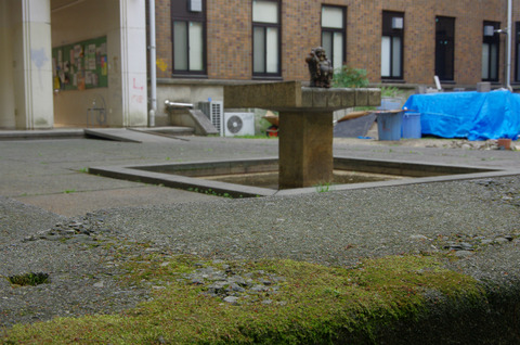 IMGP0465
