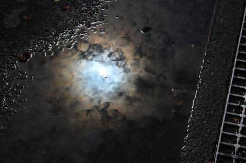 a0790_000286_m