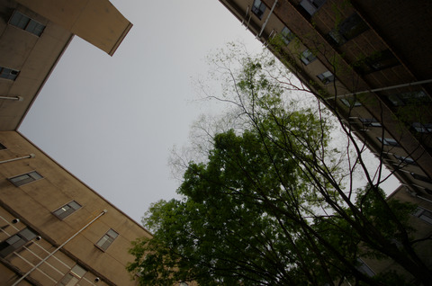 IMGP0453