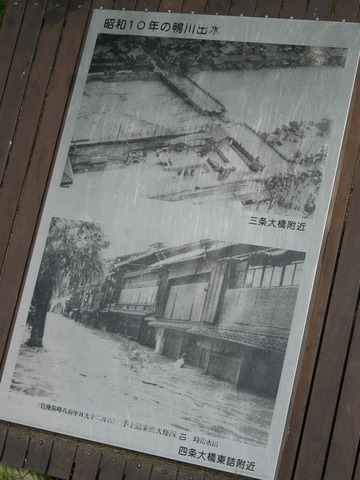 IMGP2090