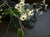 1ddf3570.JPG
