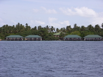 RIMG0016