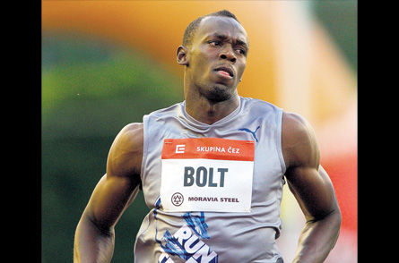 bolt