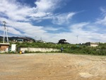 IMG_0338