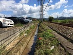 IMG_0296