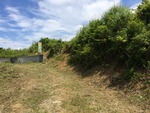 IMG_0358