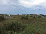 IMG_0325