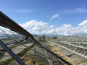 IMG_6823