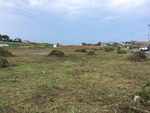 IMG_0304