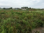 IMG_0243