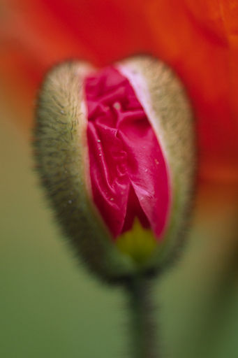 076