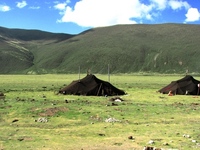 チベット　遊牧民のテント