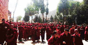 tibet-labrang-305