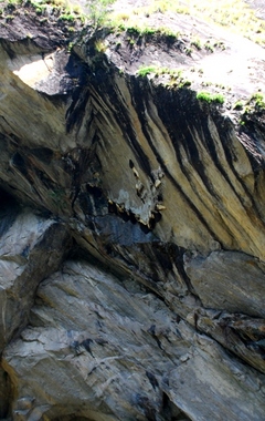 ハニーハンターも狙えそうにないオーバーハングの岩の下の蜂の巣