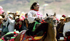 2006年　リタンの競馬祭