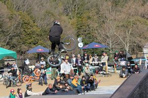 IMG_2637_R
