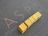 IMG_1131_R