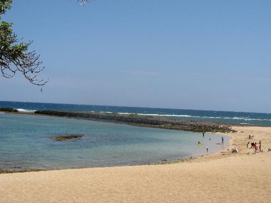 beach-in-front-of-the
