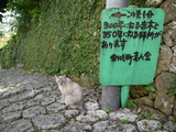 P1000347