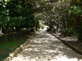 P1000392
