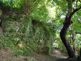 P1000358
