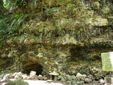 P1000360