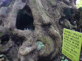 P1000357
