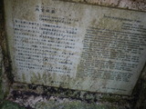 P1000365