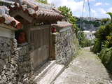 P1000369