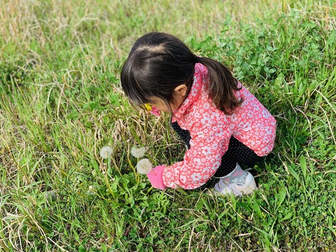 153D1DDC-2426-421E-A75E-6BDE8D54283E