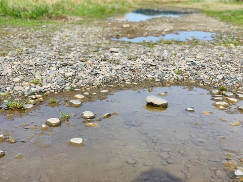 FD91539A-7260-4538-B6B2-2FC5E4E8450C