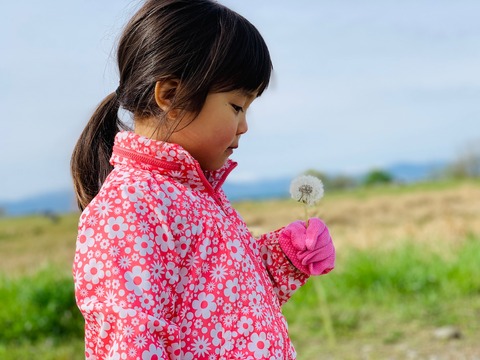 A6634C16-7C4C-4BF1-8CC2-9B0A12506B25