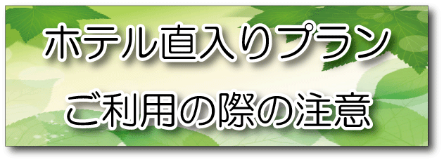 直入りプラン