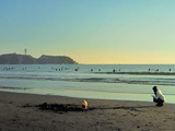1b9ed1a9.jpg
