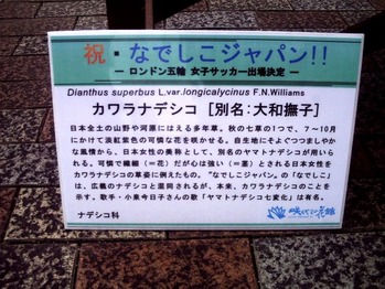 ナデシコ説明