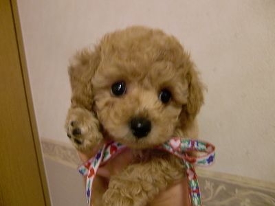 ナナちゃんbaby男のコ