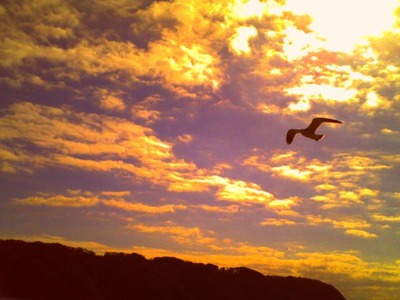 PICT0091
