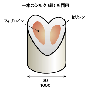シルク