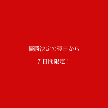 ¥«¡¼¥×£²