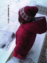 りこだるま
