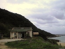 CA390484���ȡ�