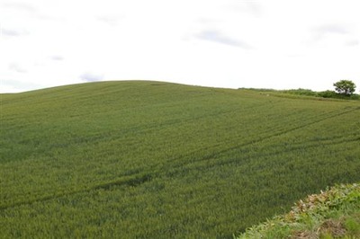 IMGP8033