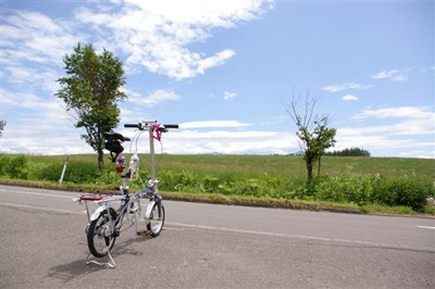 IMGP7985