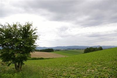 IMGP8034