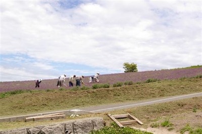 IMGP7981